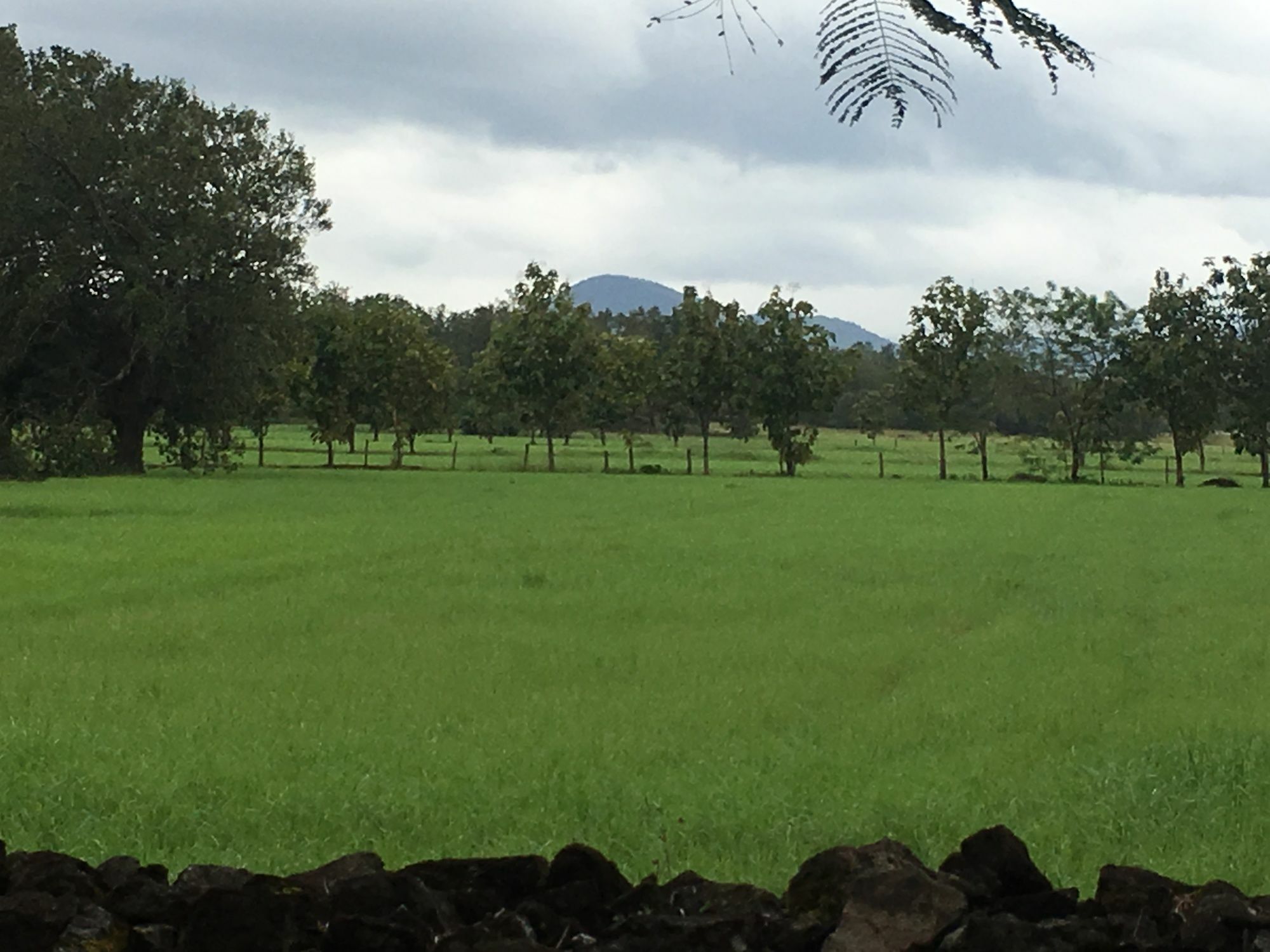 Rancho Curubande Lodge 利比里亚 外观 照片